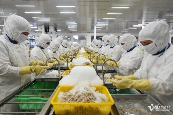 Việt Nam tìm kiếm nhiều sản phẩm nông nghiệp của Hoa Kỳ trong việc thúc đẩy thương mại song phương